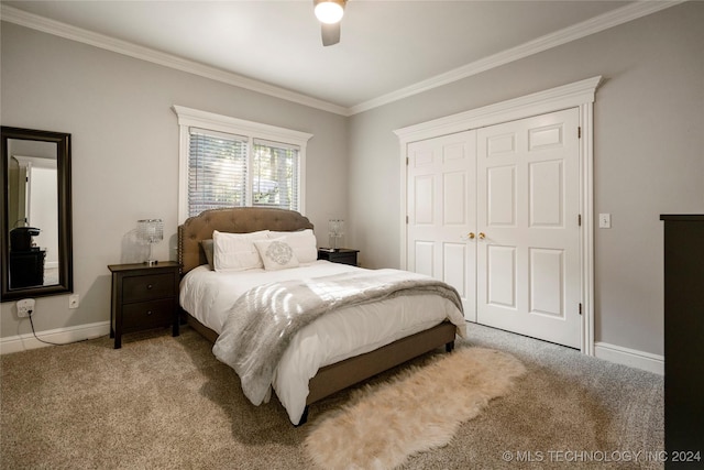 bedroom with a closet, carpet floors, ceiling fan, and ornamental molding