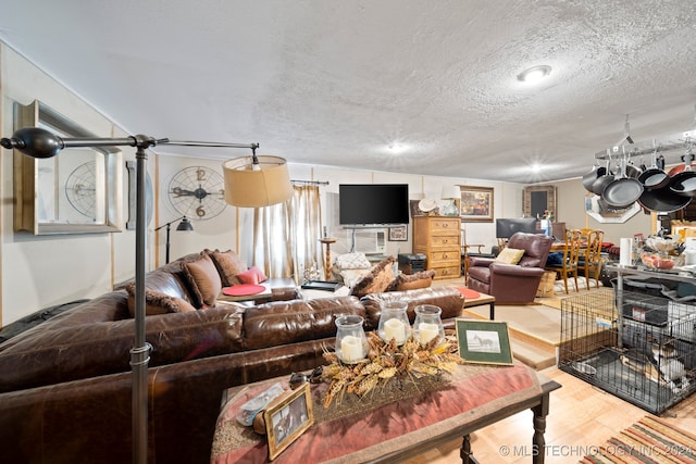 living room with hardwood / wood-style flooring and a textured ceiling