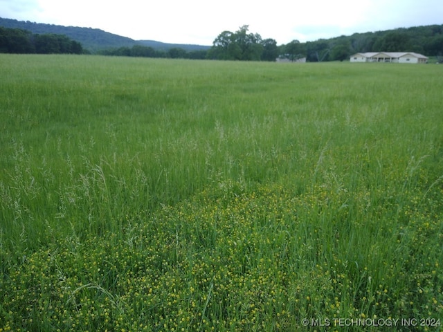 view of local wilderness featuring a rural view