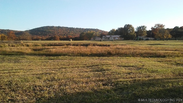 view of yard featuring a mountain view and a rural view