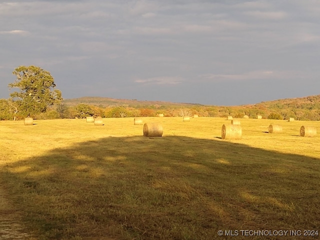 view of yard with a mountain view and a rural view