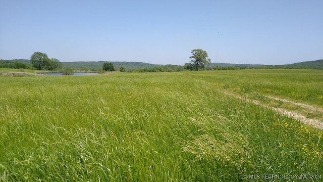 view of local wilderness with a rural view and a water view