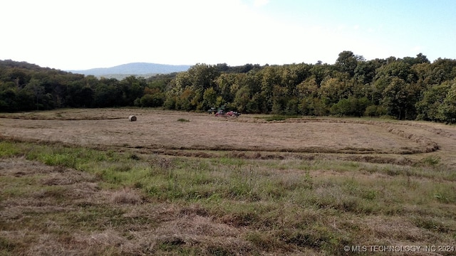 view of nature featuring a mountain view