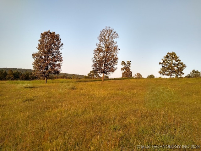 view of landscape featuring a rural view