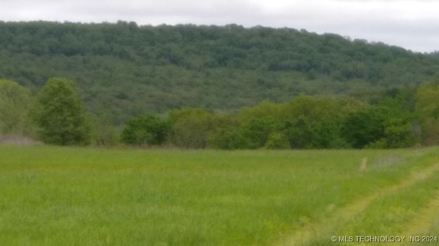 view of local wilderness