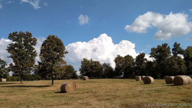 view of yard with a rural view