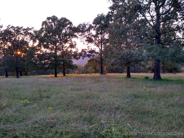 view of local wilderness