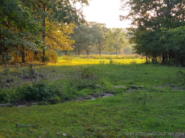 view of local wilderness