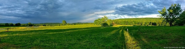 view of yard with a rural view