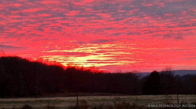 view of nature at dusk