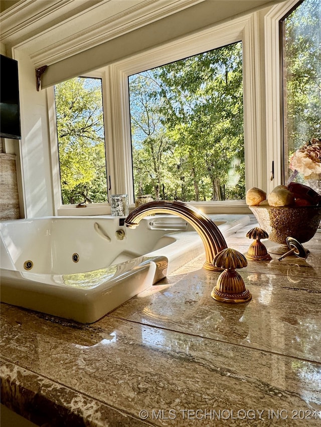 bathroom with a bathing tub