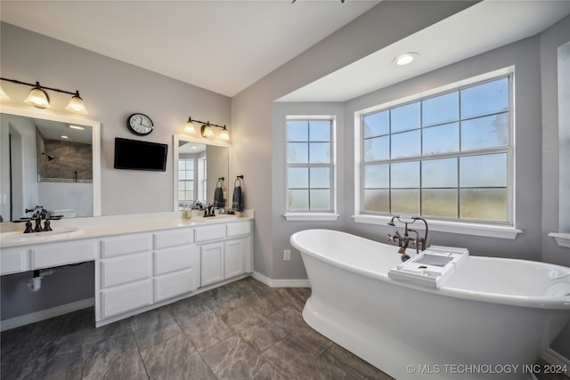 bathroom featuring vanity and separate shower and tub