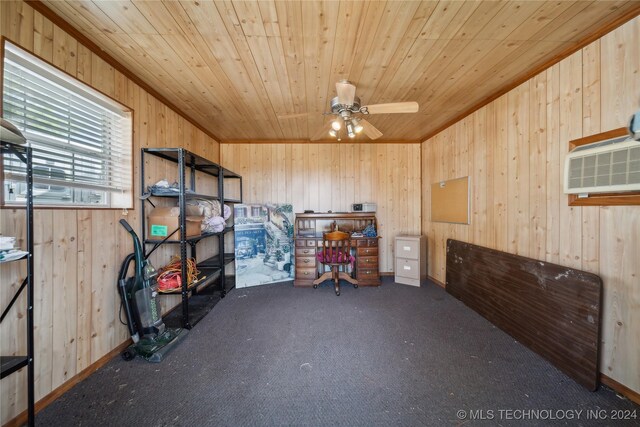 storage with ceiling fan and a wall mounted AC