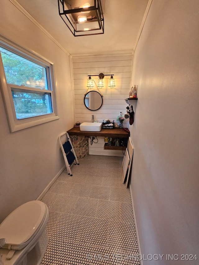 bathroom featuring crown molding, toilet, and sink