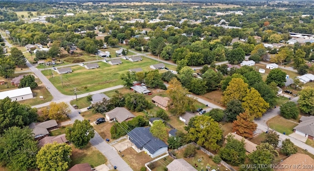 bird's eye view