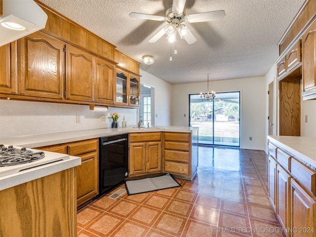 kitchen featuring black dishwasher, a textured ceiling, decorative light fixtures, and ceiling fan with notable chandelier