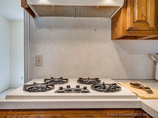 kitchen featuring range hood