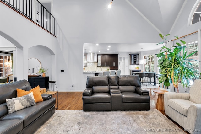 living room featuring light wood-type flooring, high vaulted ceiling, and a wealth of natural light