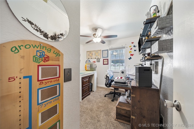 office space with ornamental molding, a textured ceiling, carpet flooring, and ceiling fan