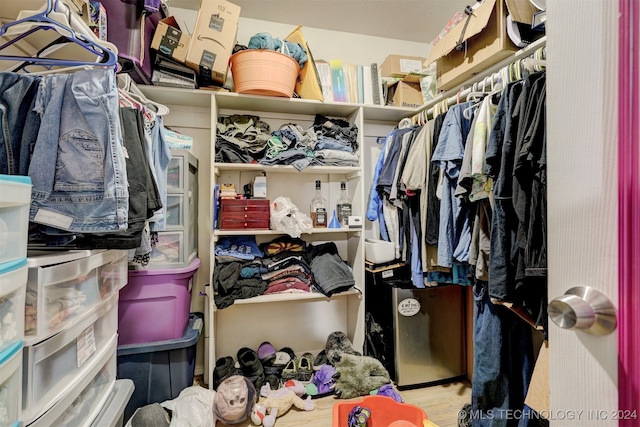 view of spacious closet