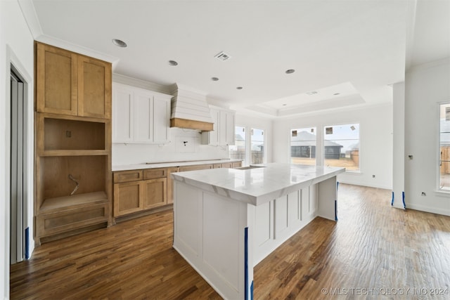 kitchen with a tray ceiling, a center island, dark wood-type flooring, and custom range hood