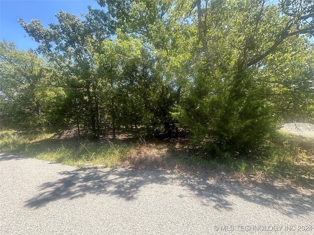 Listing photo 3 for Redbud Dr, Canadian OK 74425