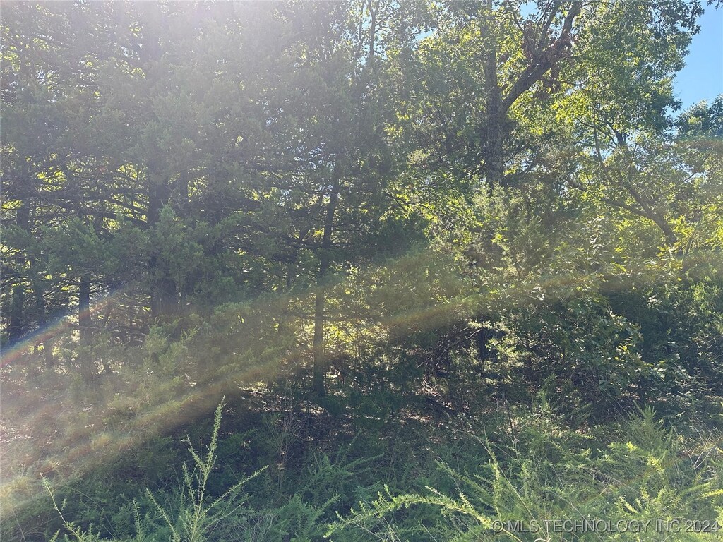 High Dr, Canadian, OK 74425 - photo 1