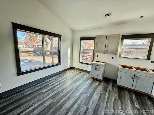 interior space featuring dark hardwood / wood-style floors, plenty of natural light, and lofted ceiling