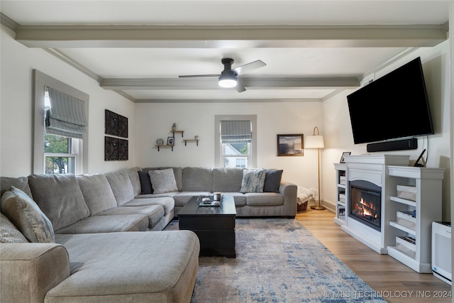 living room featuring a wealth of natural light, beam ceiling, ceiling fan, and hardwood / wood-style flooring