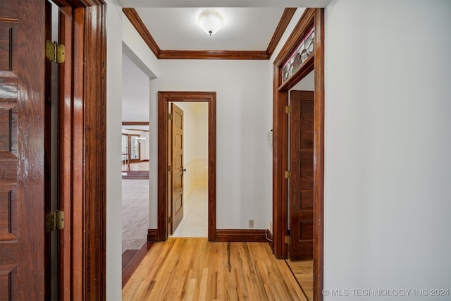 hall with light wood-type flooring and crown molding