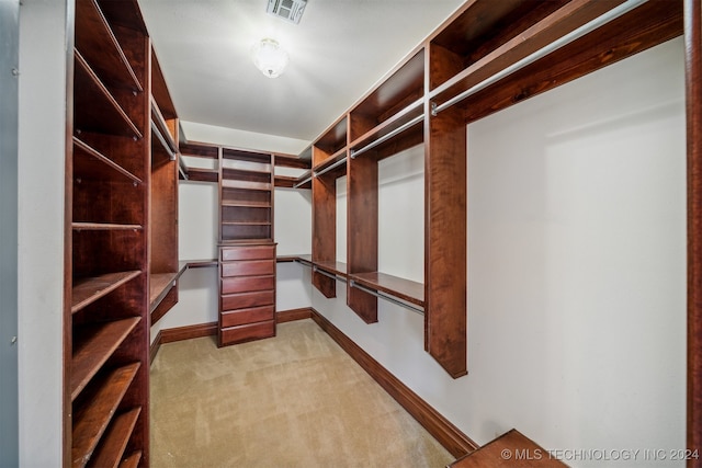 walk in closet with light carpet