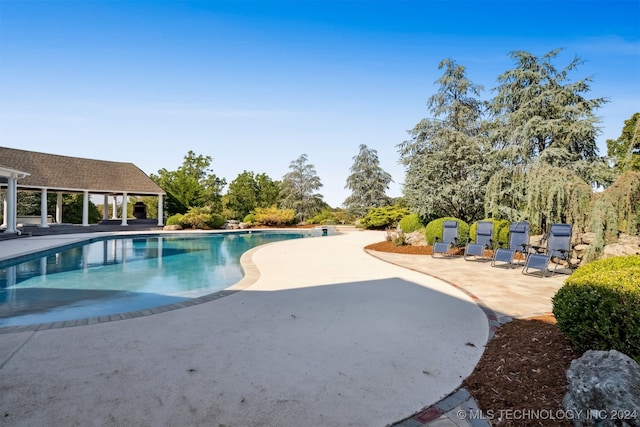 view of swimming pool featuring a patio