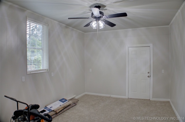 spare room featuring a wealth of natural light, crown molding, and carpet floors