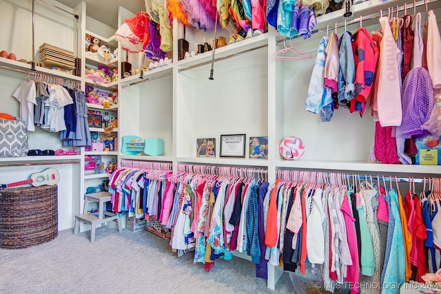 spacious closet with carpet