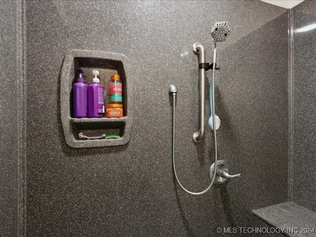 interior details with walk in shower