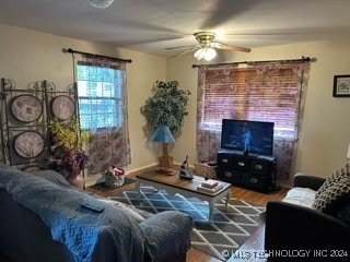 living room with ceiling fan and hardwood / wood-style flooring