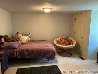 bedroom featuring light colored carpet