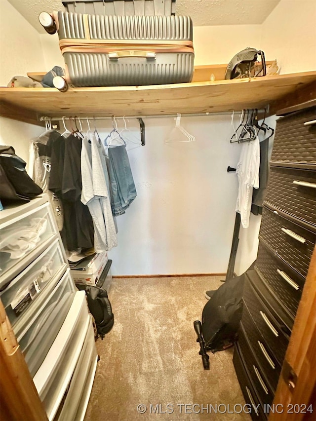 walk in closet with carpet floors