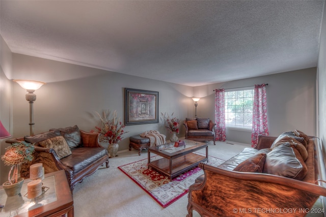 living room featuring a textured ceiling and light carpet