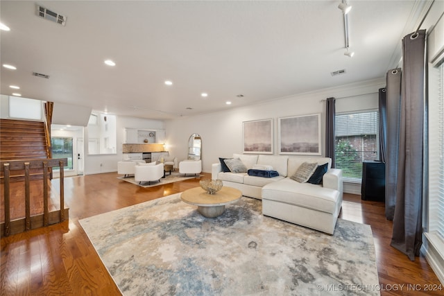 living room with wood-type flooring and ornamental molding