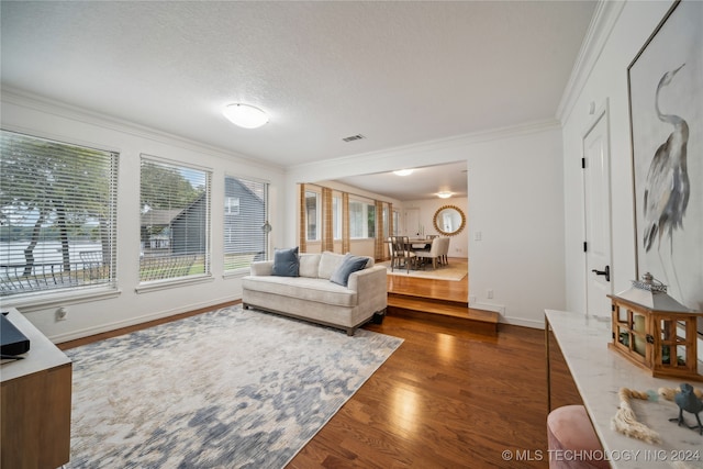 living room featuring ornamental molding, a textured ceiling, and dark hardwood / wood-style floors