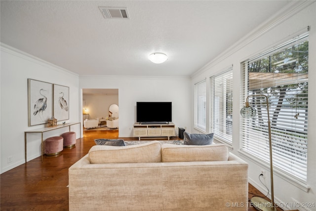 living room featuring ornamental molding, a textured ceiling, and dark wood-type flooring