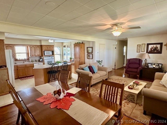 dining room featuring ceiling fan, sink, and light hardwood / wood-style floors