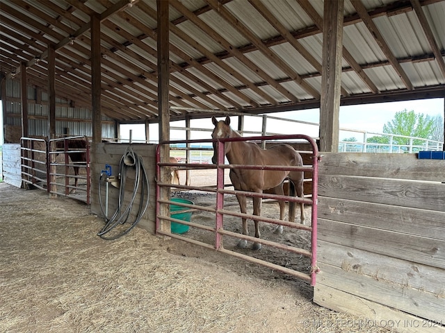 view of horse barn