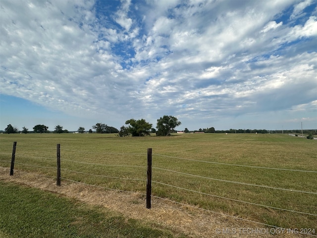 view of yard with a rural view