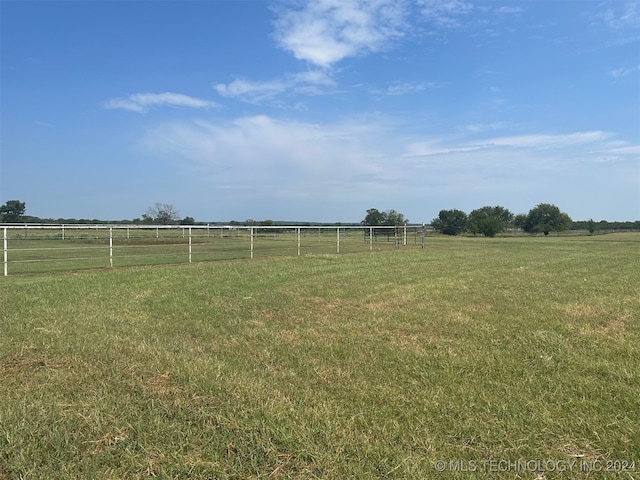 view of yard with a rural view