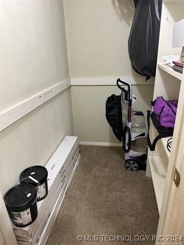 spacious closet featuring carpet