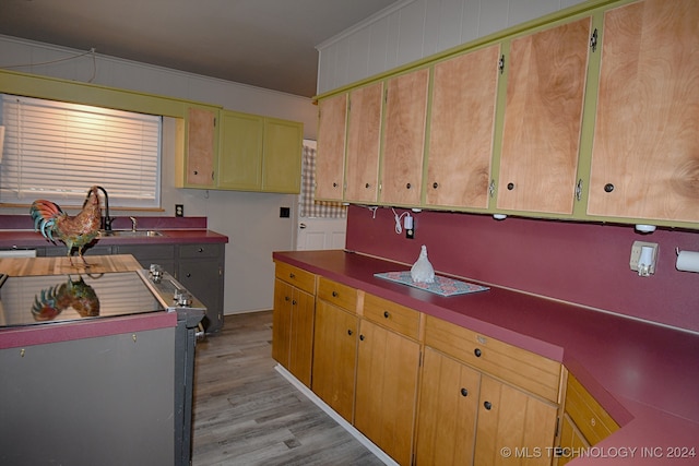 kitchen featuring light wood-type flooring, ornamental molding, and sink