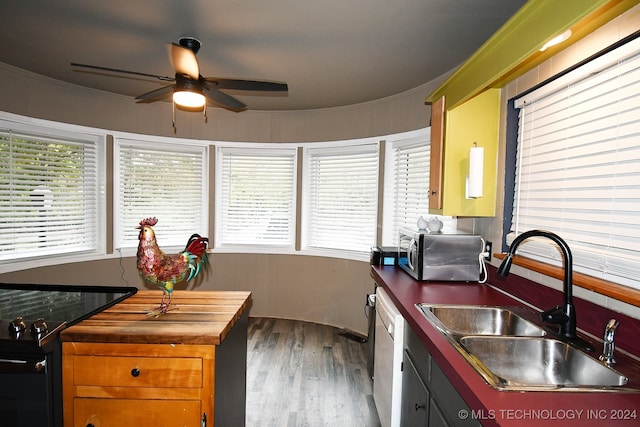 kitchen featuring hardwood / wood-style floors, ornamental molding, plenty of natural light, and sink