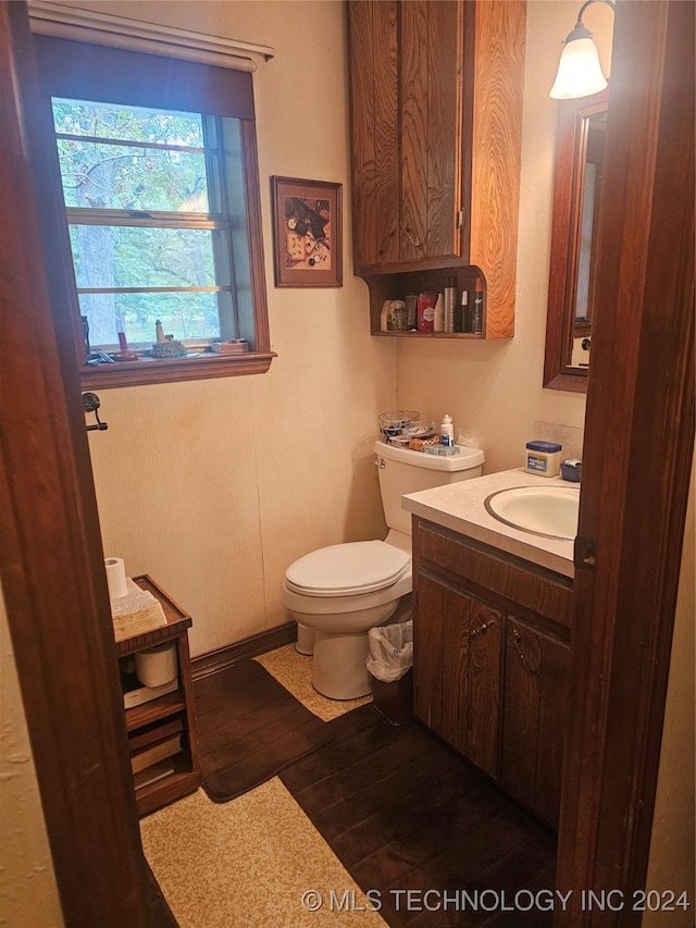 bathroom with wood-type flooring, vanity, and toilet